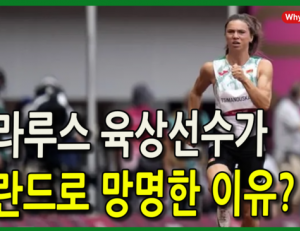 기사이미지